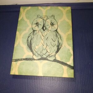 Owl canvas